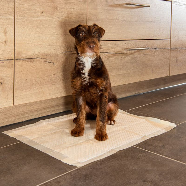 kooa Puppy Training Pads with Bamboo || kooa || view 14