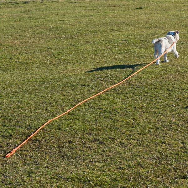 Heim Long Dog Training Lead - Orange || Heim || view 3