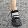 Sports & Protective Dog Boots || zooplus Exclusive || view 9
