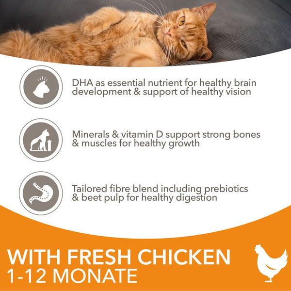 IAMS Advanced Nutrition Kitten with Fresh Chicken || IAMS || view 4