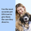 Wisdom Panel™ Breed Discovery Dog DNA Test || Wisdom Panel || view 4