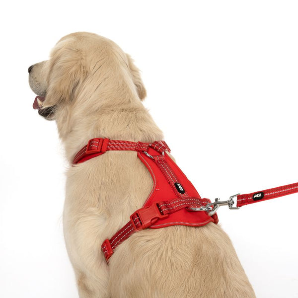 TIAKI Neoprene Harness - Red || TIAKI || view 10