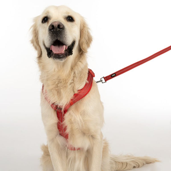 TIAKI Neoprene Harness - Red || TIAKI || view 9