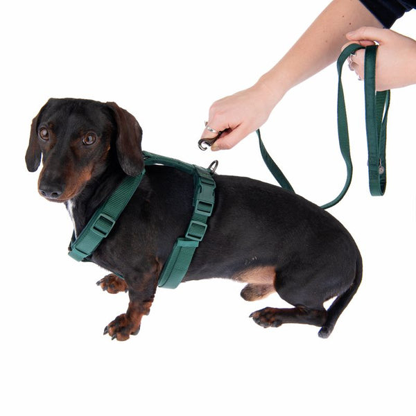 Nomad Tales Blush Harness - Emerald || Nomad Tales || view 19