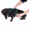 Nomad Tales Blush Harness - Emerald || Nomad Tales || view 15