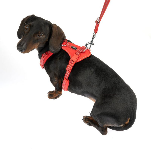 TIAKI Neoprene Harness - Red || TIAKI || view 11