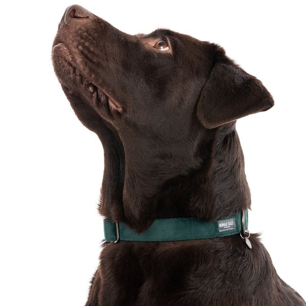 Nomad Tales Blush Collar - Emerald || Nomad Tales || view 4