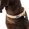 Nomad Tales Calma Collar - Sand || Nomad Tales || view 7