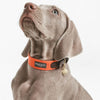 Nomad Tales Bloom Collar - Coral || Nomad Tales || view 2