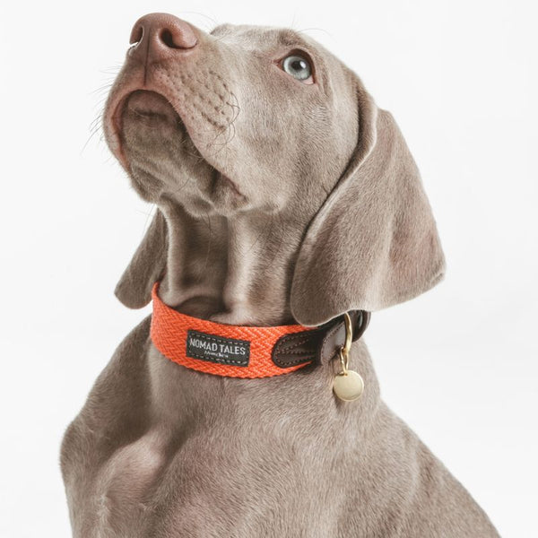Nomad Tales Bloom Collar - Coral || Nomad Tales || view 2