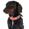 Nomad Tales Bloom Collar - Coral || Nomad Tales || view 4