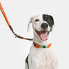 Nomad Tales Spirit Collar - Tangerine || Nomad Tales || view 2