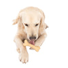 TIAKI Rubber Bone Dog Toy || TIAKI || view 4