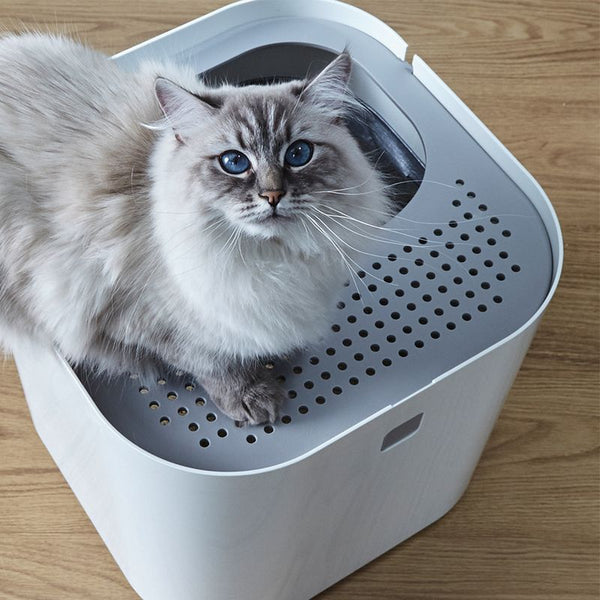 Modko ModKat Cat Litter Box || Modkat || view 11