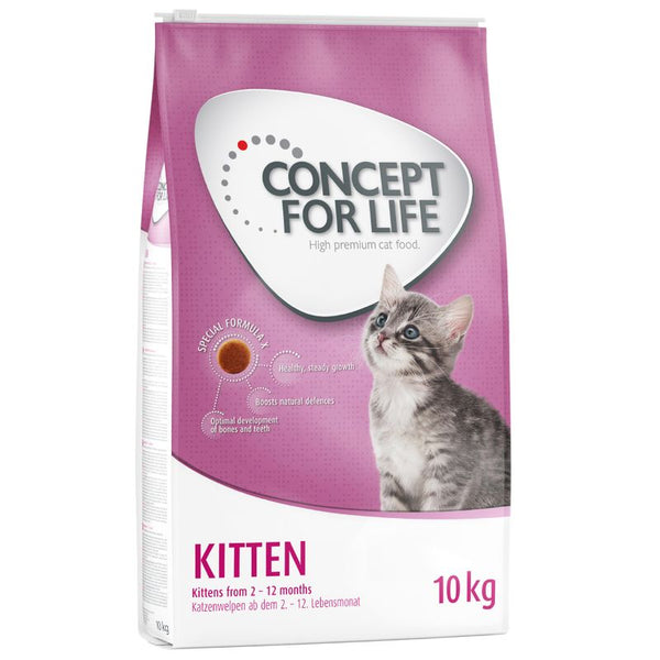 Concept for Life Kitten || Concept for Life || view 4