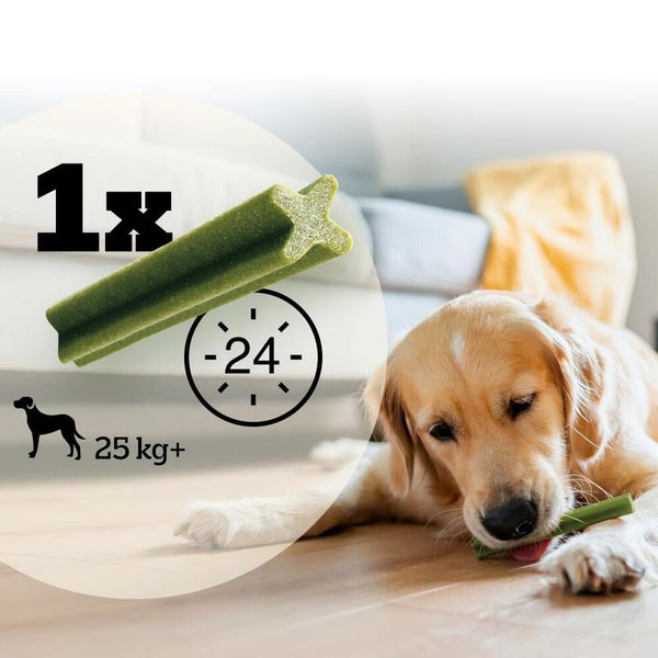Pedigree Dentastix Fresh - Daily Oral Care for Large Dogs (>25kg) || Pedigree || view 7