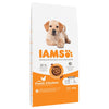 IAMS Advanced Nutrition Puppy & Junior Large Dog - Chicken || IAMS || view 1