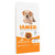 IAMS Advanced Nutrition Puppy & Junior Large Dog - Chicken || IAMS || view 1