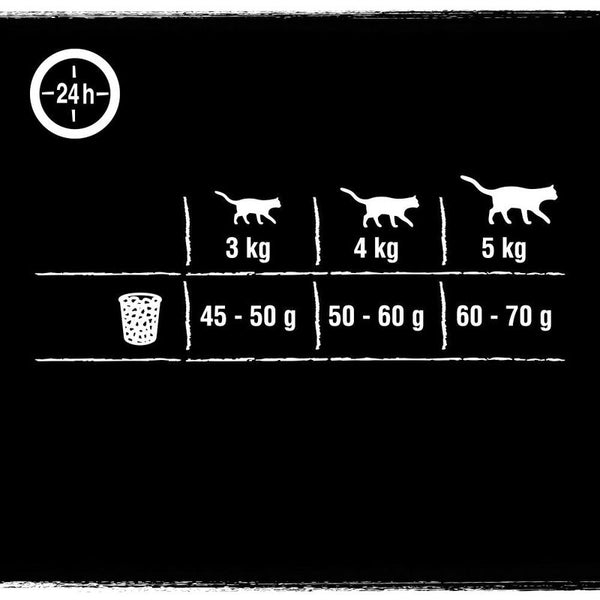 CRAVE Adult Beef & Chicken Dry Cat Food || Crave || view 6