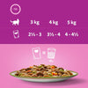 Whiskas 1+ Tasty Mix Chef's Choice in Gravy || undefined || view 6