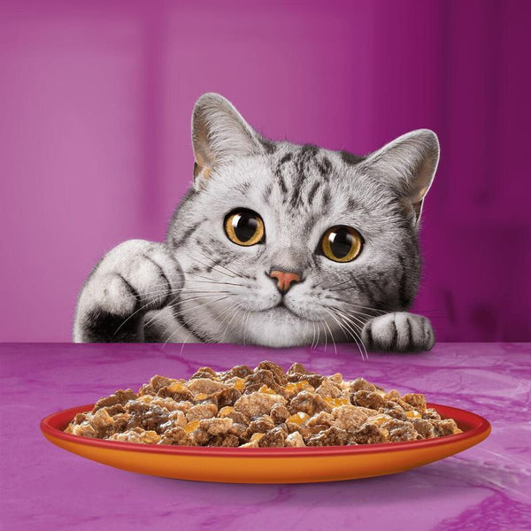 Whiskas 1+ Duo Meaty Combos in Jelly || undefined || view 7