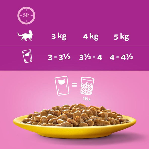 Whiskas 7+ Senior Pouches in Gravy || undefined || view 5