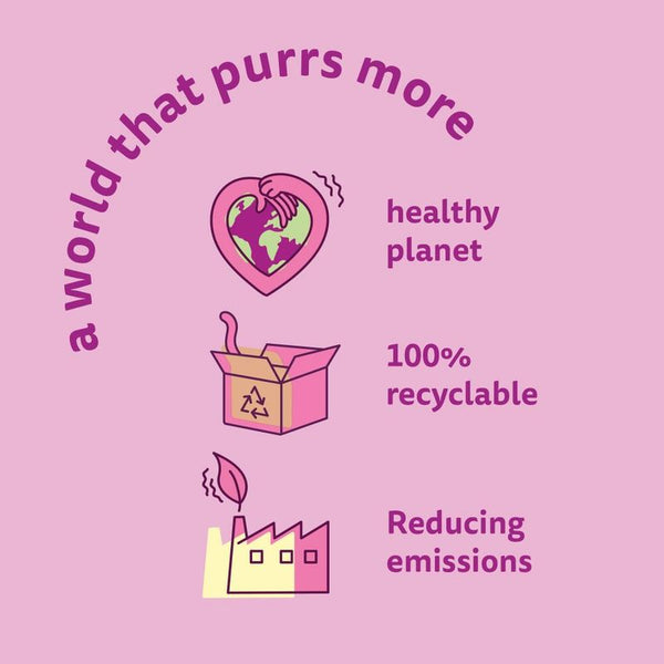 Whiskas Senior 7+ Chicken || undefined || view 7