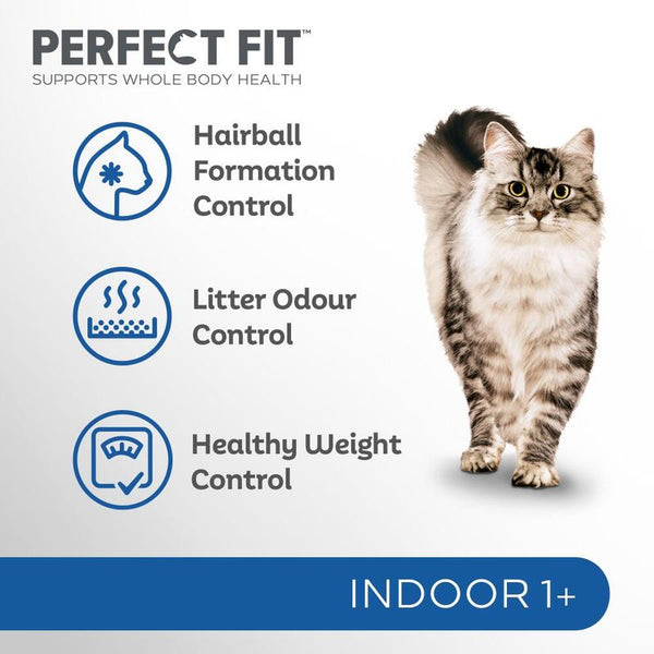 Perfect Fit Indoor 1+ Rich in Chicken || undefined || view 2