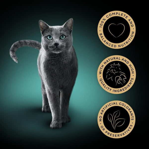 Sheba Pouches 12 x 85g || Sheba || view 19