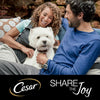 Cesar Pouches Deliciously Fresh Mixed Selection in Sauce || Cesar || view 8