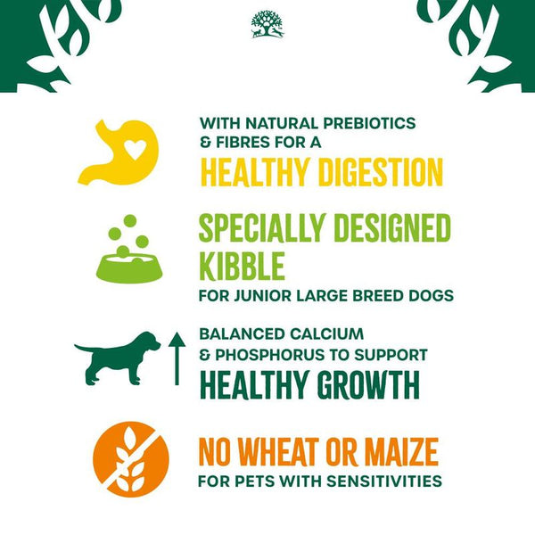 James Wellbeloved Junior Large Breed - Turkey & Rice || James Wellbeloved || view 7