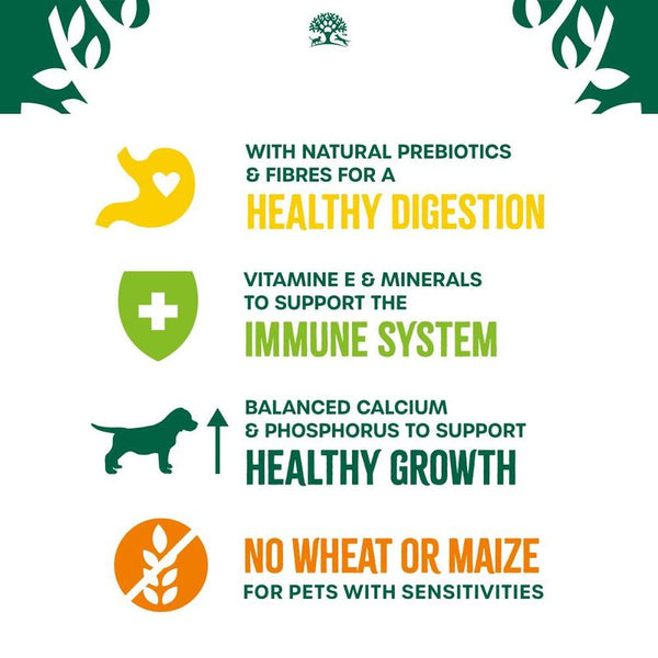 James Wellbeloved Puppy Hypoallergenic- Lamb & Rice || James Wellbeloved || view 7