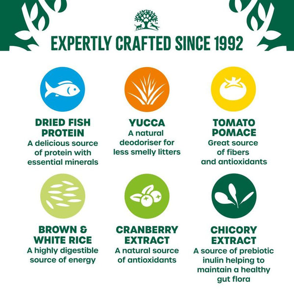 James Wellbeloved Kitten Hypoallergenic - Fish || James Wellbeloved || view 3