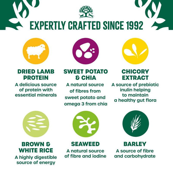 James Wellbeloved Adult Hypoallergenic Superfoods - Lamb with Potato & Chia || James Wellbeloved || view 5