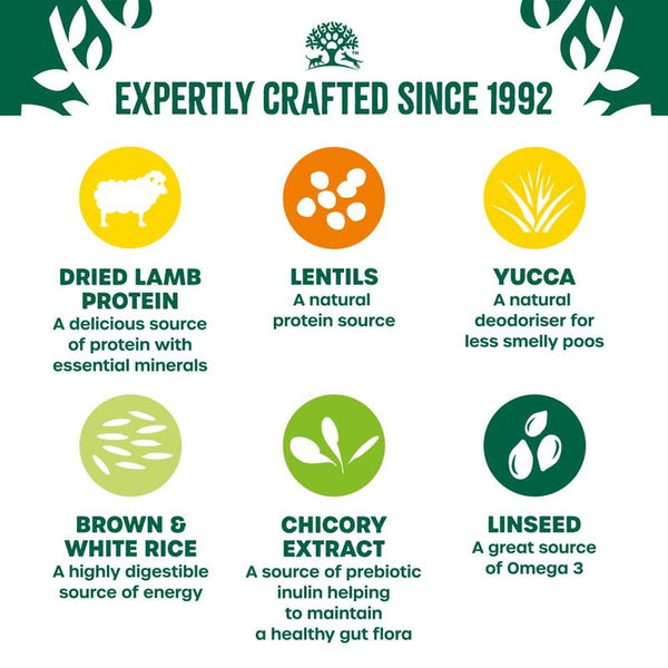 James Wellbeloved Adult Dog Hypoallergenic Plant Power Lamb & Lentils || James Wellbeloved || view 5