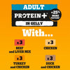 Pedigree Protein+ Pouches in Jelly Multipack || Pedigree || view 6