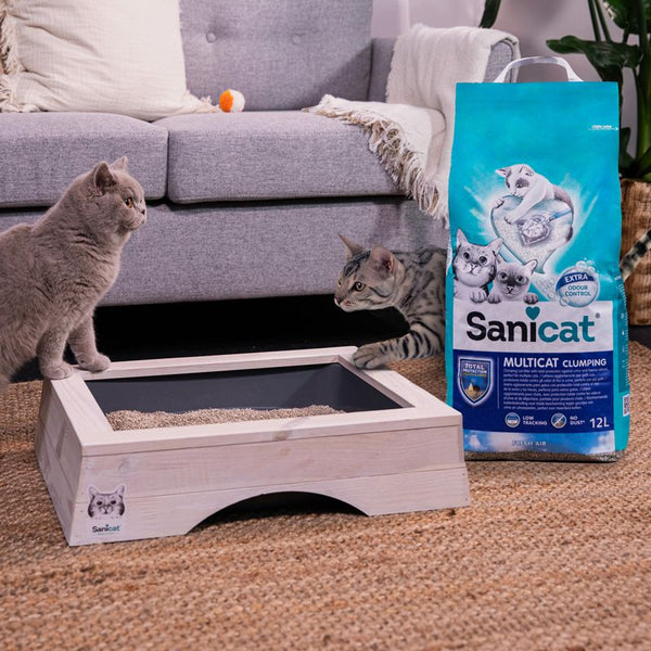 Sanicat Multicat Clumping Cat Litter || undefined || view 3
