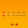 Pedigree Pouch in Jelly Multipack || Pedigree || view 5
