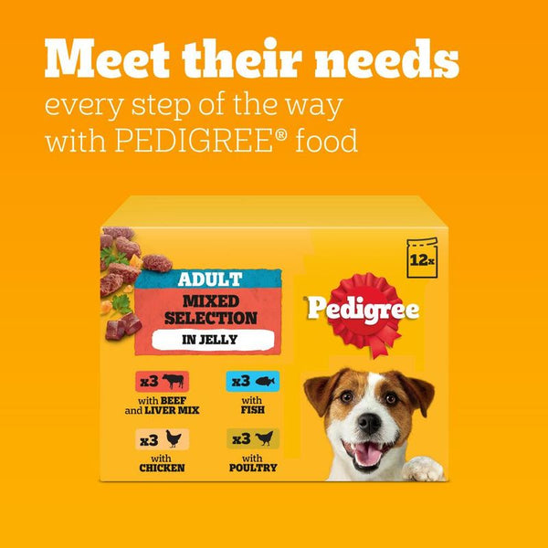 Pedigree Pouch in Jelly Multipack || Pedigree || view 7