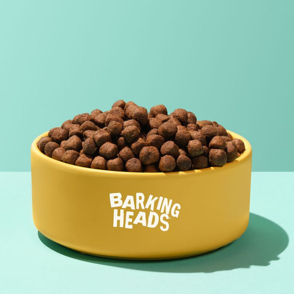 Barking Heads All Hounder Hair Necessities Salmon || barking heads || view 10