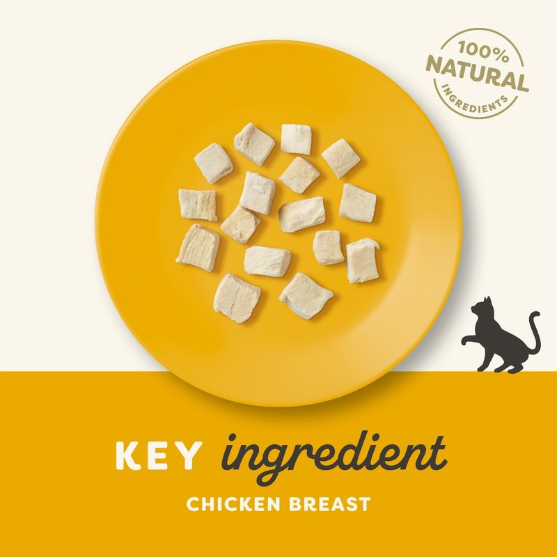 Key ingredient chicken breast, 100% natural ingredients, shown as small pieces on a yellow plate.