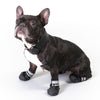 Sports & Protective Dog Boots || zooplus Exclusive || view 5