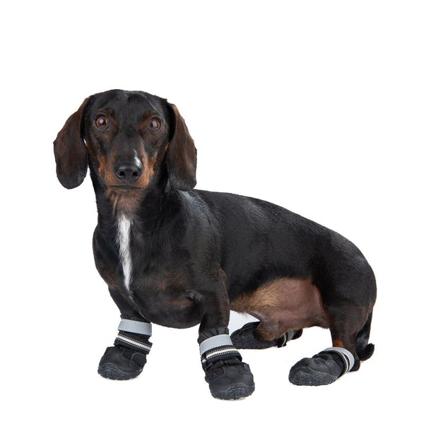 Sports & Protective Dog Boots || zooplus Exclusive || view 1