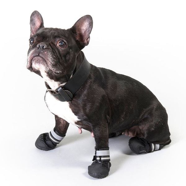 Sports & Protective Dog Boots || zooplus Exclusive || view 3
