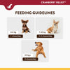 NaturVet Cranberry Relief || NaturVet || view 5