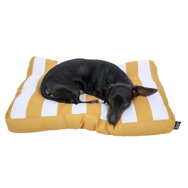 Modern Living Bari Dog Cushion || Modern Living || view 4