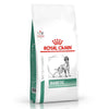 Royal Canin Veterinary Dog - Diabetic DS 37 || Royal Canin Veterinary Diet || view 1