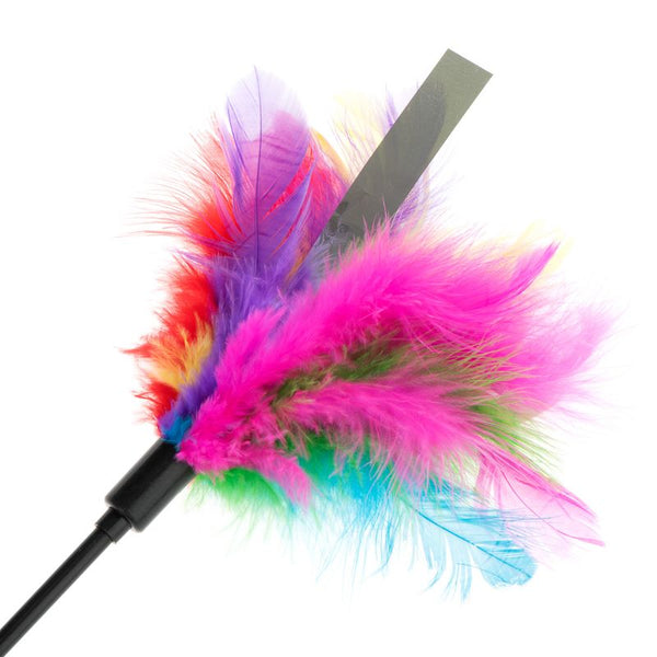Feather Waggler Cat Toy || undefined || view 5