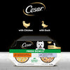 Cesar Fresh Bowls in Gravy Mixed Selection 24 x 85g || Cesar || view 5