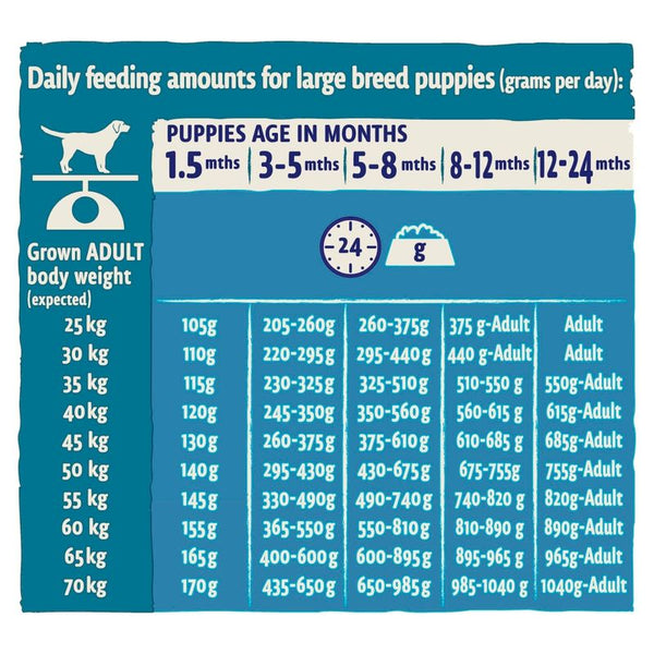 BETA Puppy Large Breed Turkey || Beta || view 4